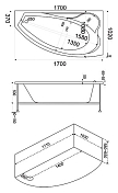 Акриловая ванна Bas Николь В 00028 170х110 R , изображение 5