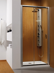 Фото Душевая дверь в нишу Radaway Premium Plus DWJ 100 прозрачное стекло