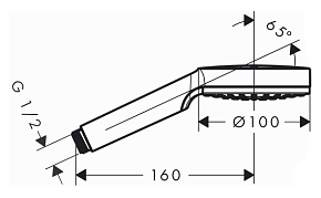 Фото Душевая лейка Hansgrohe Crometta 1jet 26331400