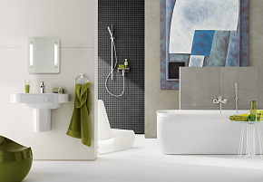 Фото Душевая лейка Grohe Euphoria Cosmopolitan 27400000