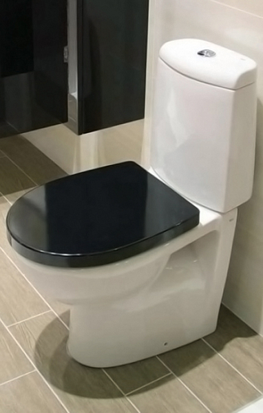 Унитаз-компакт Roca Victoria Nord 342nd7000 без бачка и сиденья , изображение 3