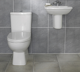 Фото Крышка-сиденье Jacob Delafon Panache E70008-00 с микролифтом, петли хром