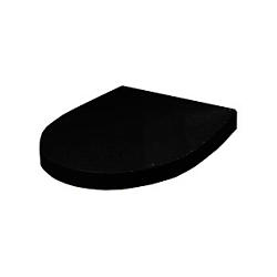 Фото Крышка-сиденье Roca Victoria Nord Black Edition ZRU9302627 с микролифтом, петли хром