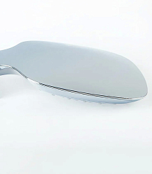 Фото Душевая лейка Hansgrohe Raindance Select E 26550000