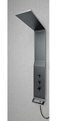 Душевая панель Hansgrohe Raindance 27008000 , изображение 2