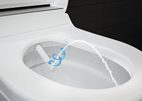 Фото Унитаз подвесной Geberit AquaClean tuma classic