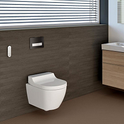 Фото Унитаз подвесной Geberit AquaClean tuma comfort панель нерж. сталь