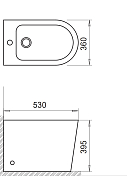 Изображение Биде напольное BelBagno Flay-R BB1003B Биде напольное BelBagno Flay-R BB1003B , изображение 6