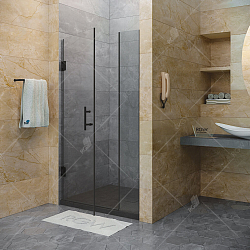 Фото Душевая дверь в нишу RGW Hotel HO-012B 100 см профиль черный
