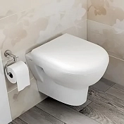 Унитаз подвесной Vitra Zentrum 5795B003-0075 безободковый , изображение 3