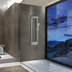 Фото Душевая панель Black&White Seasons W2040 Brushed Nickel