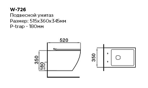 Фото Унитаз подвесной Black&White Universe W-726