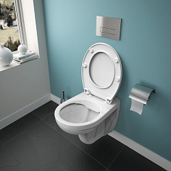 Фото Комплект Ideal Standard Eurovit W660101 (подвесной унитаз + инсталляция + сиденье)