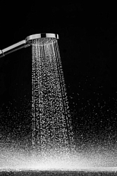 Фото Душевая лейка Hansgrohe Raindance Select S 26014000