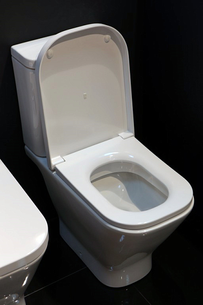 Унитаз-компакт Roca The Gap 342477000 без бачка и сиденья , изображение 7