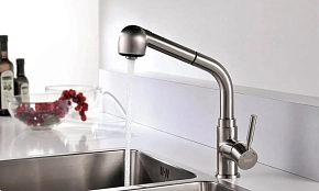 Фото Смеситель Wasserkraft Wern 4266 для кухонной мойки, матовый хром