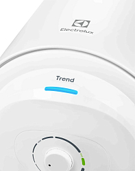 Фото Водонагреватель Electrolux EWH 100 Trend