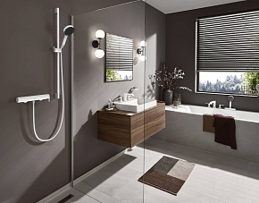 Фото Смеситель Hansgrohe Vivenis 75620700 для душа