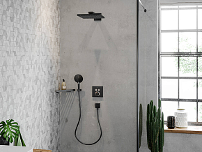 Фото Верхний душ Hansgrohe Raindance E 26238670
