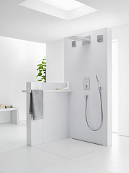 Фото Верхний душ Hansgrohe Raindance 28433000