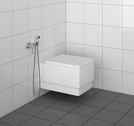 Фото Гигиенический душ Kludi Bozz 389990576 со смесителем
