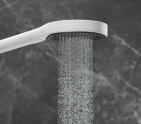 Фото Душевая лейка Hansgrohe Rainfinity 26864700
