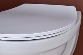 Фото Крышка-сиденье Jacob Delafon Patio E23157-00 с микролифтом
