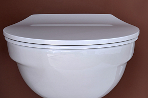 Фото Крышка-сиденье Jacob Delafon Patio E23157-00 с микролифтом