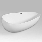 Изображение Акриловая ванна Black&White Swan 227SB00 170x95 Акриловая ванна Black&White Swan 227SB00 170x95 , изображение 5