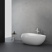Изображение Акриловая ванна Black&White Swan 227SB00 170x95 Акриловая ванна Black&White Swan 227SB00 170x95 , изображение 7