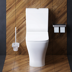 Фото Унитаз-компакт Damixa Titan DX78C8600SC безободковый, с микролифтом