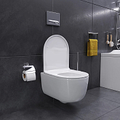 Унитаз подвесной Damixa Sirius DX86C1700SC с микролифтом , изображение 5