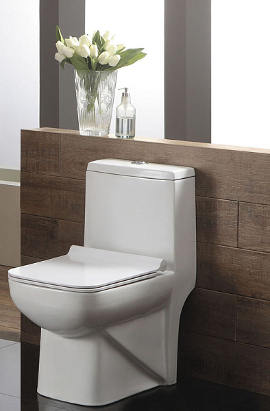 Унитаз-компакт Azario Zeno AZ1169 с микролифтом , изображение 2