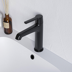 Фото Смеситель RGW Shower Panels SP-301B  для раковины