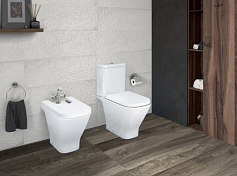 Унитаз-компакт Roca The Gap 342477000 без бачка и сиденья , изображение 9