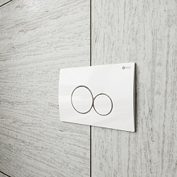 Фото Кнопка смыва Point Виктория PN44061WC белый/хром