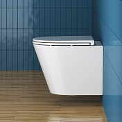 Унитаз подвесной BelBagno Tre безободковый , изображение 10