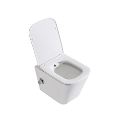 Фото Унитаз подвесной BelBagno Due BB3103CHR-BS/SC