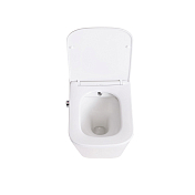 Изображение Унитаз подвесной BelBagno Due BB3103CHR-BS/SC Унитаз подвесной BelBagno Due BB3103CHR-BS/SC , изображение 6