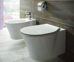 Фото Крышка-сиденье Ideal Standard Connect E772401 с микролифтом