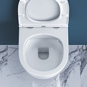 Изображение Унитаз подвесной BelBagno Sfera-R BB046CHR/BB870SC безободковый Унитаз подвесной BelBagno Sfera-R BB046CHR/BB870SC безободковый , изображение 12