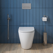 Унитаз приставной BelBagno Sfera-R BB2141CBR/BB870SC безободковый , изображение 5