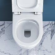 Изображение Унитаз приставной BelBagno Sfera-R BB2141CBR/BB2111SC безободковый Унитаз приставной BelBagno Sfera-R BB2141CBR/BB2111SC безободковый , изображение 12