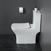 Изображение Унитаз-моноблок BelBagno Neon BB8617CPR-MN/SC Унитаз-моноблок BelBagno Neon BB8617CPR-MN/SC , изображение 8