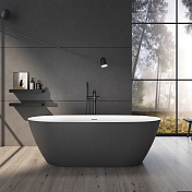Изображение Акриловая ванна Black&White Swan SB330 170x75 Grey Акриловая ванна Black&White Swan SB330 170x75 Grey , изображение 3