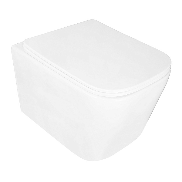Унитаз подвесной Loranto Delphi 91343 безободковый , изображение 1